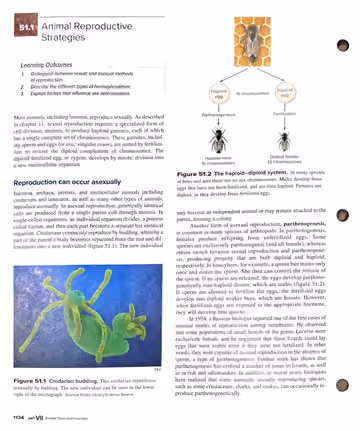 Textbook p. 1134: 51.1 Animal Reproductive Strategies
