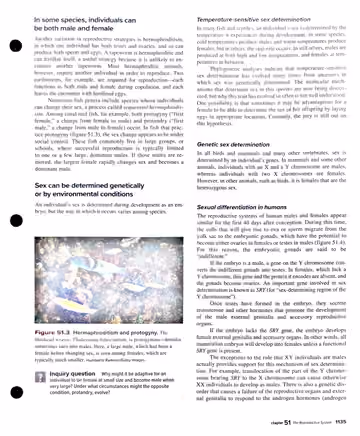 Textbook p. 1135: 51.1 Animal Reproductive Strategies (cont.)