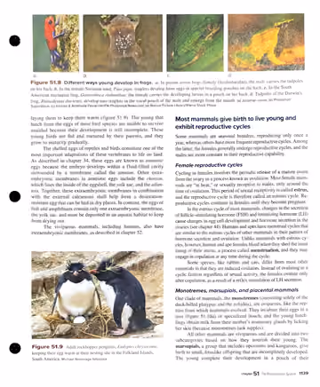Textbook p. 1139: 51.2 Vertebrate Fertilization and Development