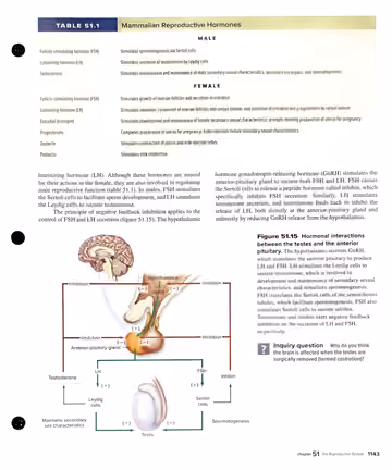 Textbook p. 1143: 51.3 Structure and Function of the Human Male Reproductive System (Table 51.1, Fig 51.15)
