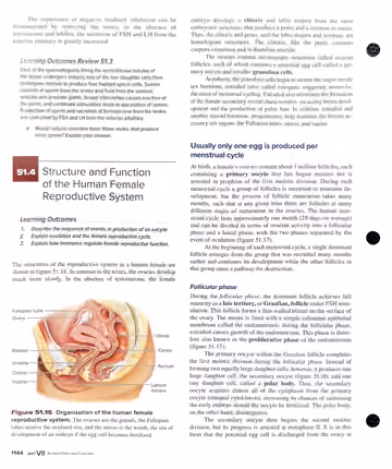 Textbook p. 1144: 51.4 Structure and Function of the Human Female Reproductive System