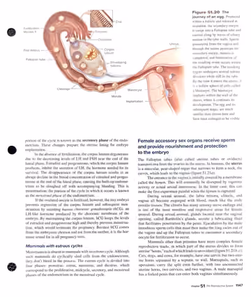 Textbook p. 1147: 51.4 Structure and Function of the Human Female Reproductive System (Fig 51.20)