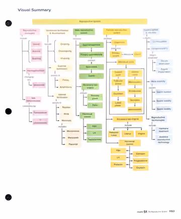 Textbook p. 1153: Visual Summary