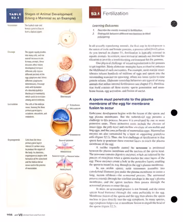Textbook p. 1156: Table 52.1 + 52.1 Fertilization