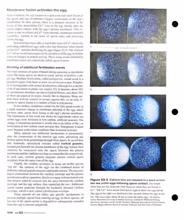 Textbook p. 1158: 52.1 Fertilization (cont.)