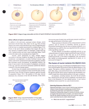 Textbook p. 1159: 52.1 Fertilization (cont.) + Learning Outcomes Review 52.1