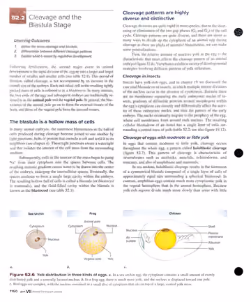 Textbook p. 1160: 52.2 Cleavage and the Blastula Stage