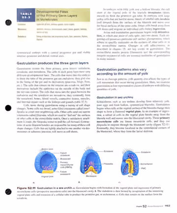 Textbook p. 1163: 52.3 Gastrulation