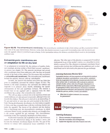 Textbook p. 1166: 52.3 Gastrulation (cont.): extraembryonic membranes + review + 52.4 intro