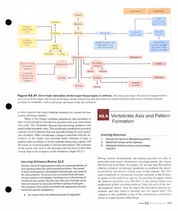 Textbook p. 1171: 52.4 Organogenesis review + 52.5 Vertebrate Axis and Pattern Formation intro