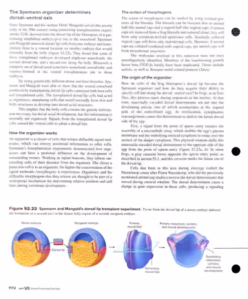 Textbook p. 1172: 52.5 Vertebrate Axis and Pattern Formation: Spemann-Mangold organizer