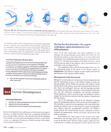 Textbook p. 1178: 52.5 review + 52.6 Human Development: first month