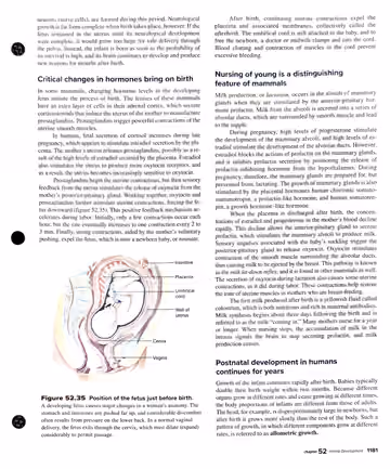Textbook p. 1181: 52.6 Human Development: birth, lactation
