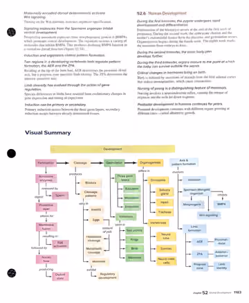 Textbook p. 1183: 52.5-52.6 Chapter Review (cont.) + Visual Summary