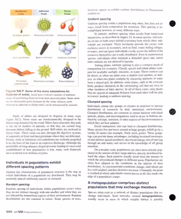 Textbook p. 1220: 54.2 (cont.) Populations: Groups of a Single Species in One Place