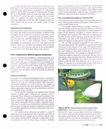 Textbook p. 1249: 55.3 Predator-Prey Relationships