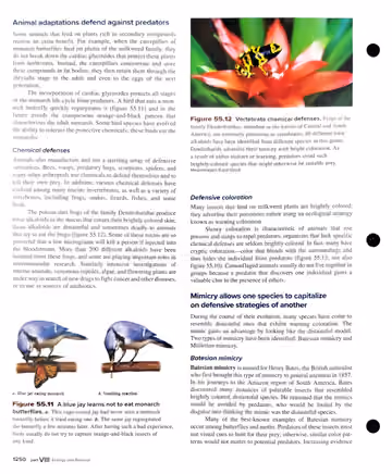 Textbook p. 1250: 55.3 Predator-Prey Relationships (cont.)