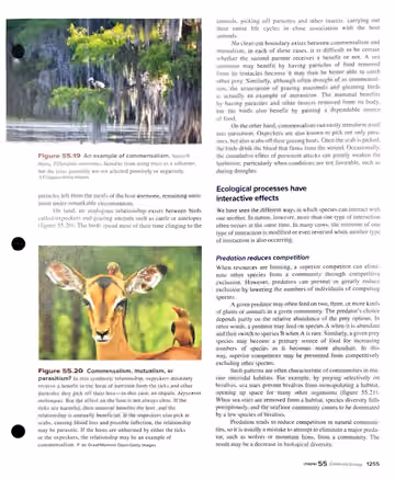 Textbook p. 1255: 55.4 The Many Types of Species Interactions (cont.)