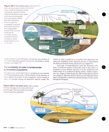 Textbook p. 1266: 56.1 (cont.) Biogeochemical Cycles -- the carbon cycle and the water cycle