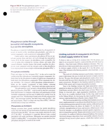 Textbook p. 1269: 56.1 (cont.) Biogeochemical Cycles -- the phosphorus cycle and limiting nutrients
