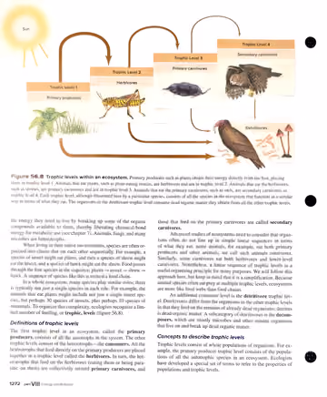 Textbook p. 1272: 56.2 The Flow of Energy in Ecosystems