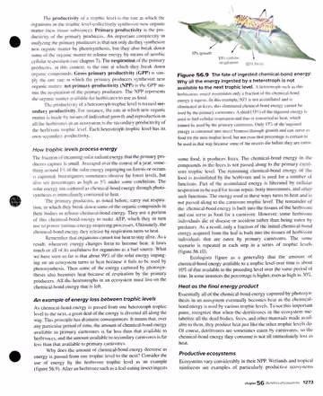 Textbook p. 1273: 56.2 (cont.) The Flow of Energy in Ecosystems
