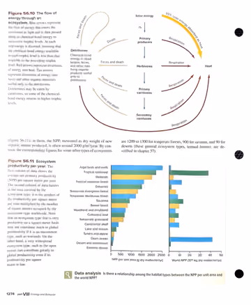 Textbook p. 1274: 56.2 (cont.) The Flow of Energy in Ecosystems