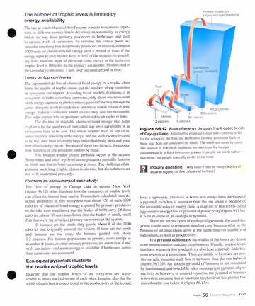 Textbook p. 1275: 56.2 (cont.) The Flow of Energy in Ecosystems