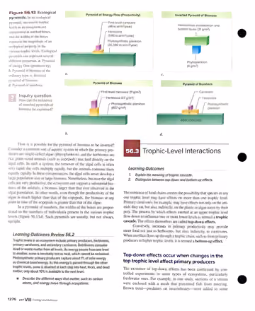 Textbook p. 1276: 56.2 (cont.) The Flow of Energy in Ecosystems / 56.3 Trophic-Level Interactions